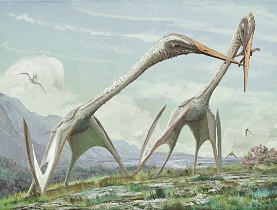 Giant Arambourgiania pterosaurs arguing over a small theropod