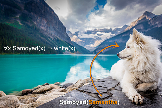 Samoyed and formulae